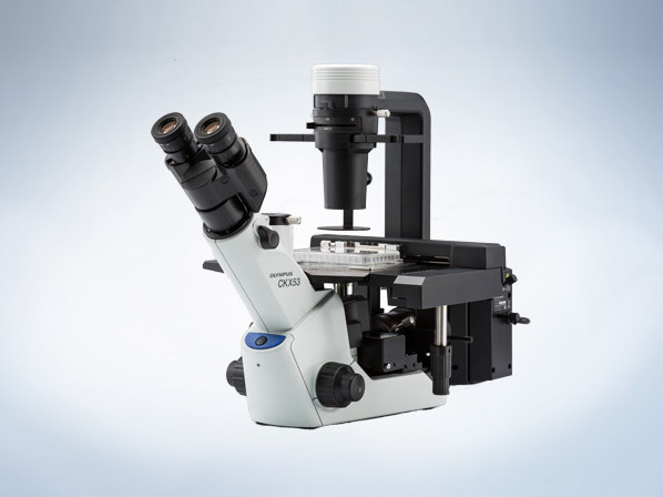 行业动态标题行业动态标题行业动态标题行业